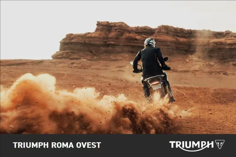 Triumph Tiger 1200 Rally Pro (2024 - 26) (5)