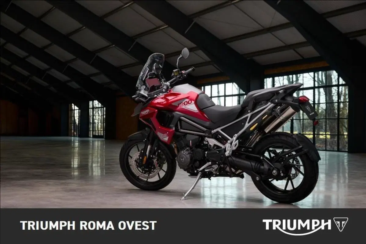 Triumph Tiger 1200 GT Pro (2024 - 26) (5)