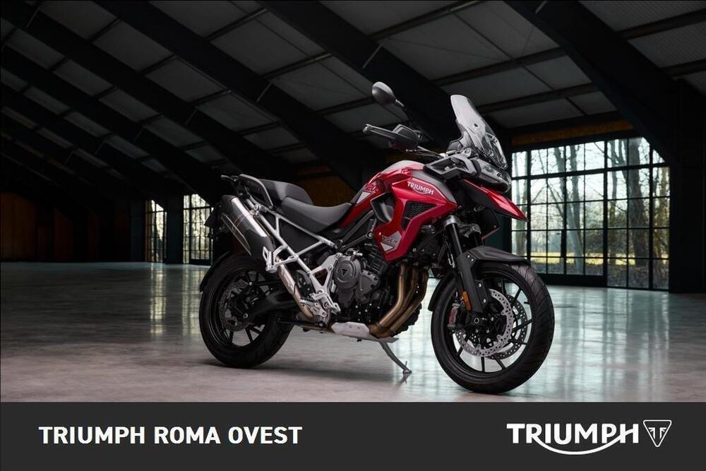 Triumph Tiger 1200 GT Pro (2024) (4)