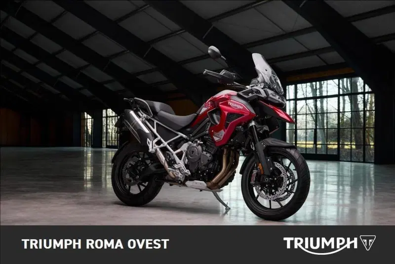 Triumph Tiger 1200 GT Pro (2024 - 26) (4)