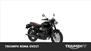 Triumph Bonneville T120 Stealth Edition (2024) (9)