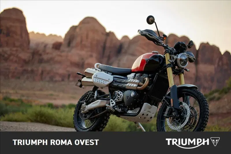 Triumph Scrambler 1200 XE (2024 - 25) (4)
