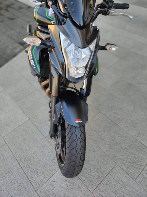 Kawasaki ER-6N ABS (2012 - 16) (3)