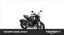 Triumph Trident 660 Triple Tribute Edition (2024) (7)