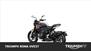 Triumph Trident 660 Triple Tribute Edition (2024) (6)