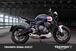 Triumph Trident 660 Triple Tribute Edition (2024) (12)