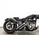 Harley-Davidson 1690 Slim (2011 - 16) - FLS (7)