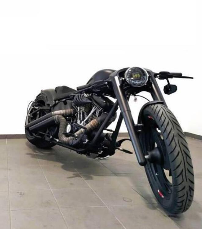 Harley-Davidson 1690 Slim (2011 - 16) - FLS (3)