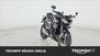 Triumph Street Triple 765 RS (2023 - 24) (7)