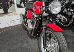 Triumph Thruxton 900 (2004 - 15) usata