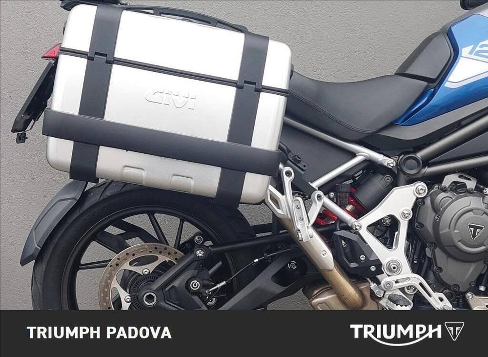 Triumph Tiger 1200 GT Pro (2022 - 23) (3)