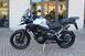 Triumph Tiger 1200 GT Pro (2024) (11)