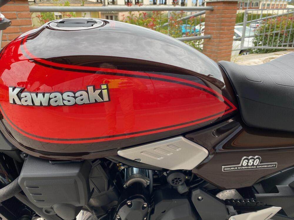 Kawasaki Z 650 50th Anniversary (2022 - 23) (4)