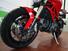 Ducati Monster 1100 Evo ABS (2011 - 13) (16)