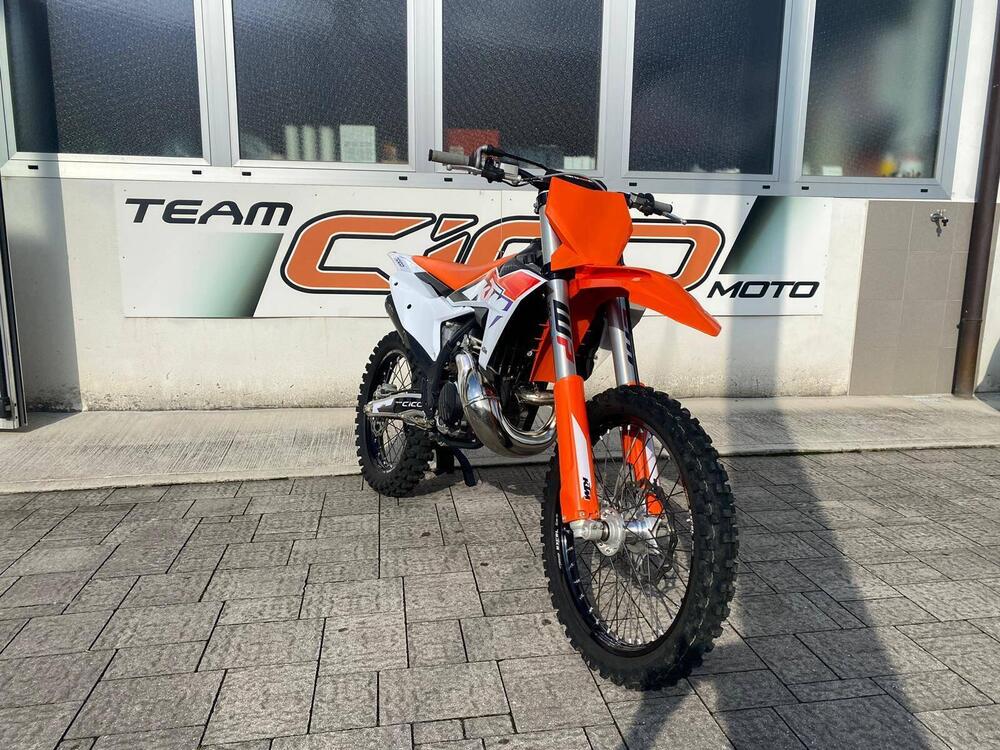 KTM SX 300 (2023) (3)