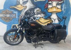 Harley-Davidson Nightster Special (2023 - 24) usata