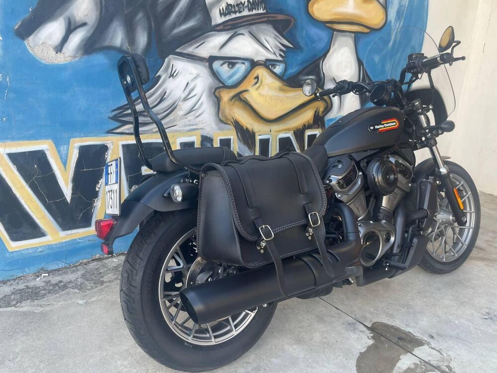 Harley-Davidson Nightster Special (2023 - 24) (4)