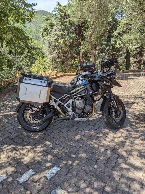 Triumph Tiger 1200 GT Pro (2022 - 23) (2)