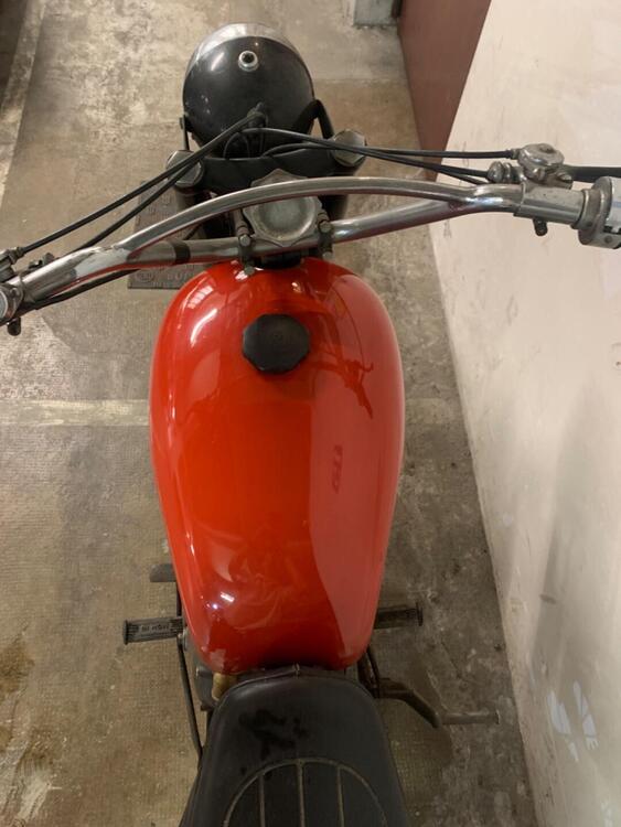 Gilera Nettuno  (5)