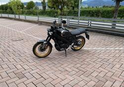 Yamaha XSR 125 Legacy (2022 - 24) usata