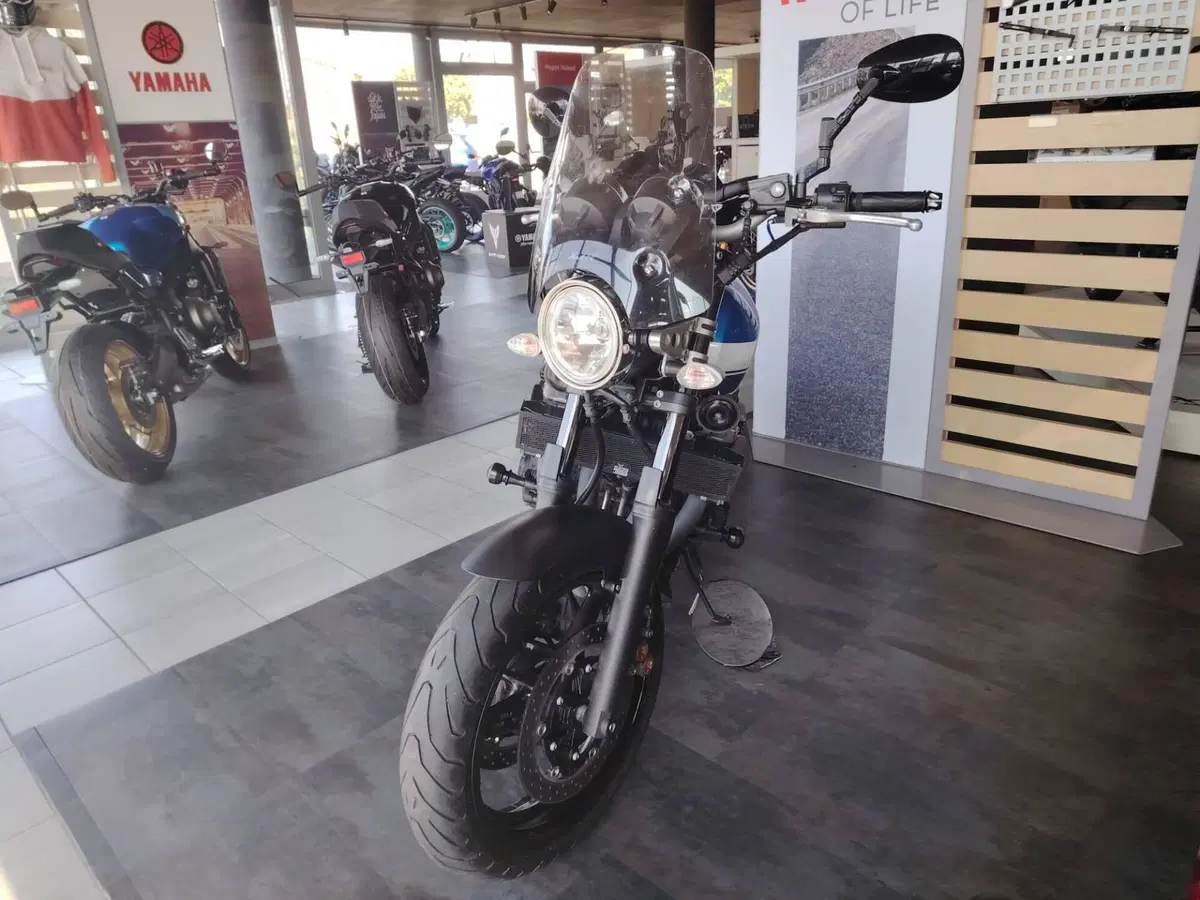 Yamaha XJR 1300 (2015 - 17) (6)