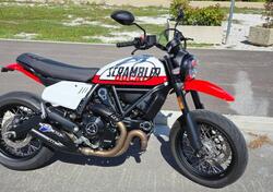 Ducati Scrambler 800 Urban Motard (2022) usata