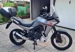 Honda Transalp XL750 Urban (2023 - 24) usata