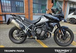 Triumph Tiger 900 GT Pro (2020 - 23) usata