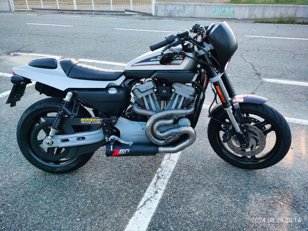 Harley-Davidson 1200 XR (2009 - 12)