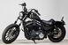 Harley-Davidson 883 Iron (2009 - 11) - XL 883N (17)