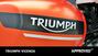 Triumph Speed Twin 1200 (2021 - 24) (9)