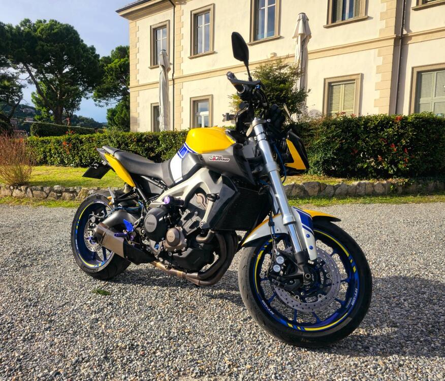 Yamaha MT-09 (2017 - 20) (3)