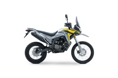 Voge Valico 300 Rally (2022 - 26) nuova