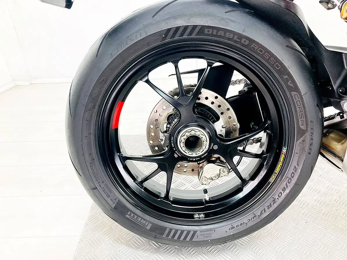 Ducati Streetfighter V4 S (2023 - 24) (7)