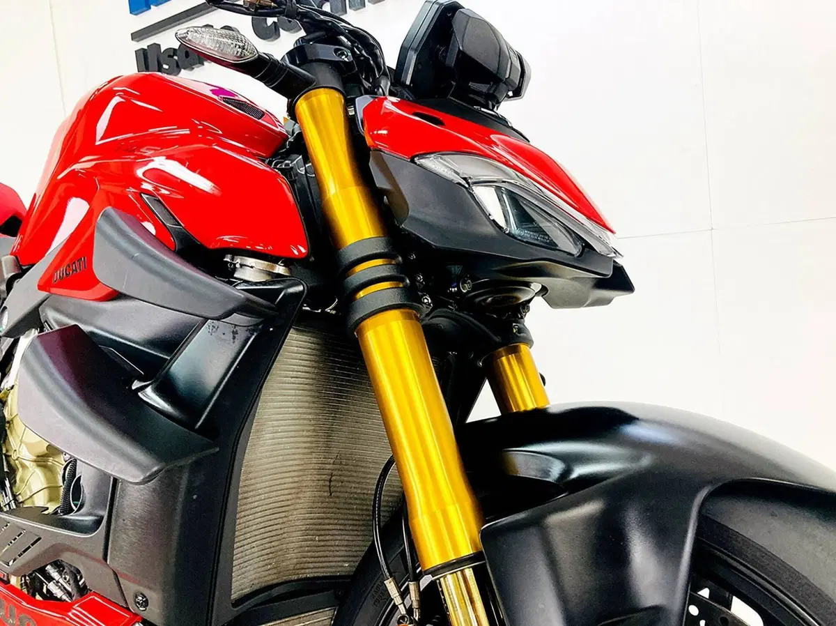 Ducati Streetfighter V4 S (2023 - 24) (11)