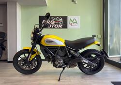 Ducati Scrambler 800 Icon (2015 - 16) usata