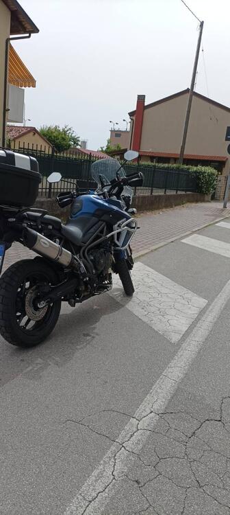 Triumph Tiger 800 XRt (2018 - 20) (4)