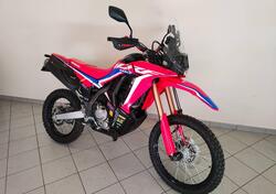 Honda CRF 300 Rally (2021 - 24) usata