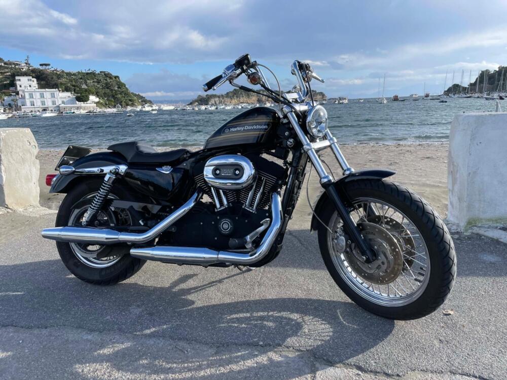 Harley-Davidson 1200 Roadster (2002 - 05) - XL 1200R