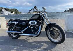 Harley-Davidson 1200 Roadster (2002 - 05) - XL 1200R usata