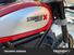 Ducati Scrambler 800 Desert Sled (2017 - 20) (6)