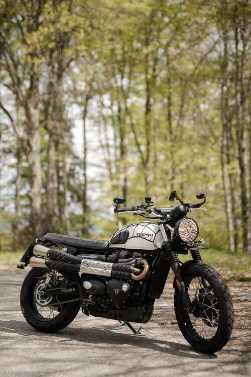 Triumph Street Scrambler 900 (2019 - 20) (3)