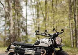 Triumph Street Scrambler 900 (2019 - 20) usata