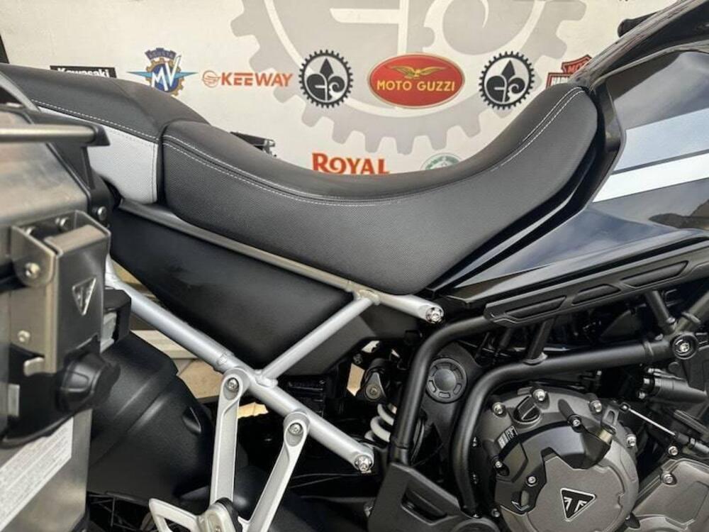 Triumph Tiger 900 Rally Pro (2020 - 23) (4)