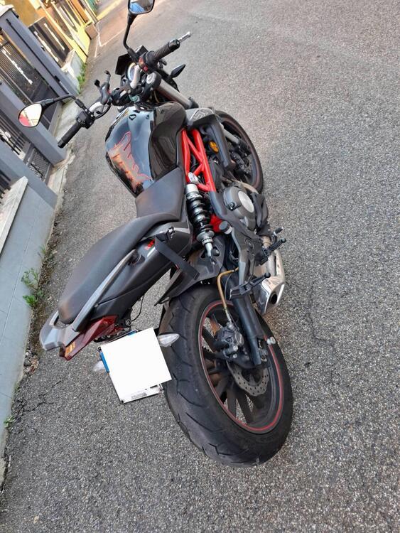 Benelli BN 302 (2014 - 16) (3)