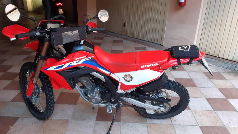 Honda CRF 300 L (2021 - 24) (3)