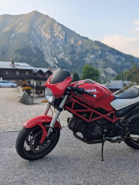 Ducati Monster 695 (2006 - 08) (4)