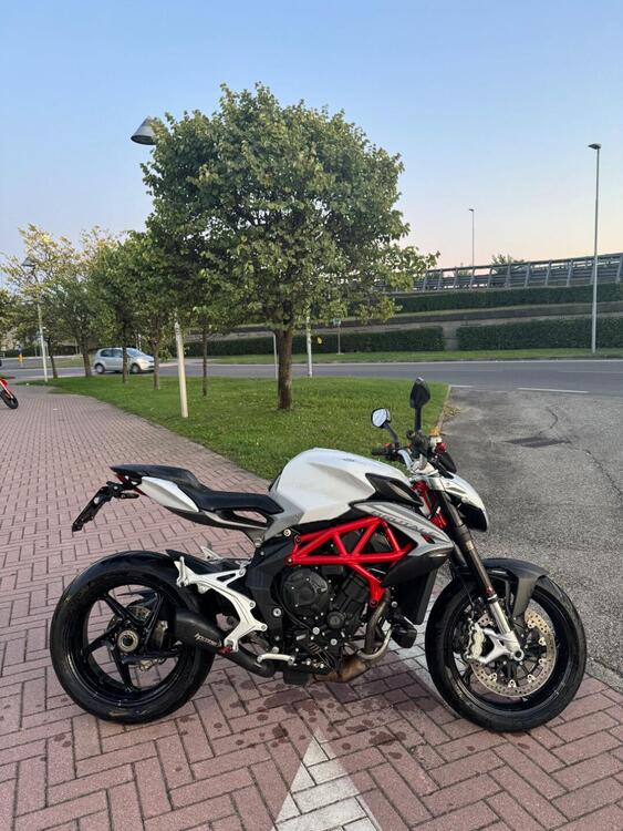 MV Agusta Brutale 800 RR (2021 - 24)