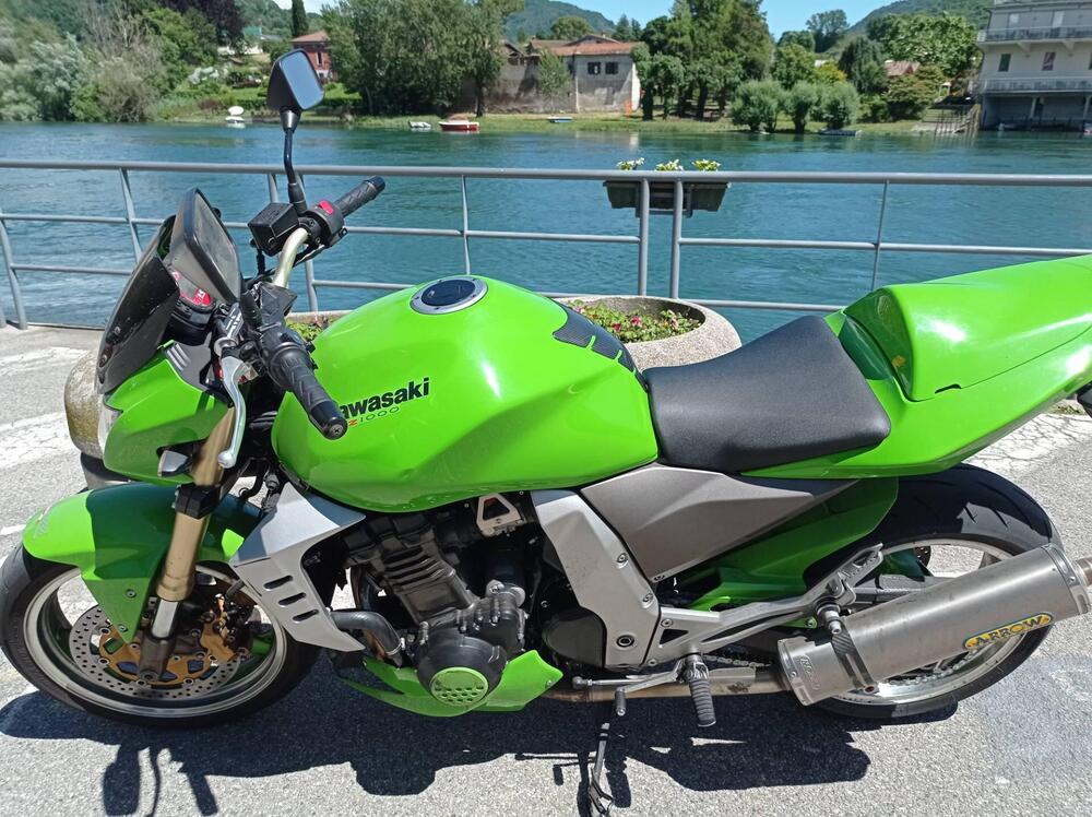 Kawasaki Z 1000 (2003 - 06) (3)