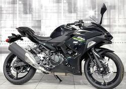 Kawasaki Ninja 500 (2024 - 25) nuova